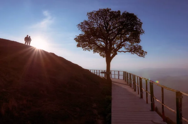 Silueta Páru Kopci Osamělý Strom Slunce Klesá Pozadí Světla Odlesk — Stock fotografie