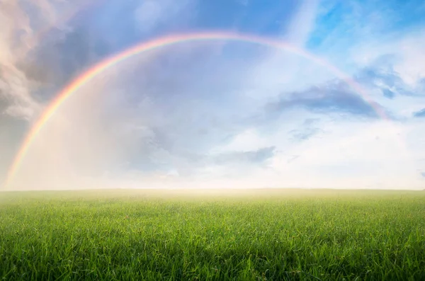 Rainbow Rain Skies Beautiful Green Meadow — Stock Photo, Image