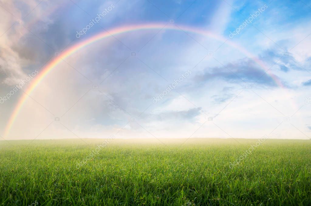 Rainbow after the rain, the skies over the beautiful green meadow.