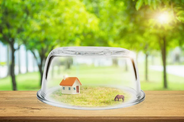Property Insurance Concept Toy House Glass Dome Wooden Floor Shield — Stock Photo, Image
