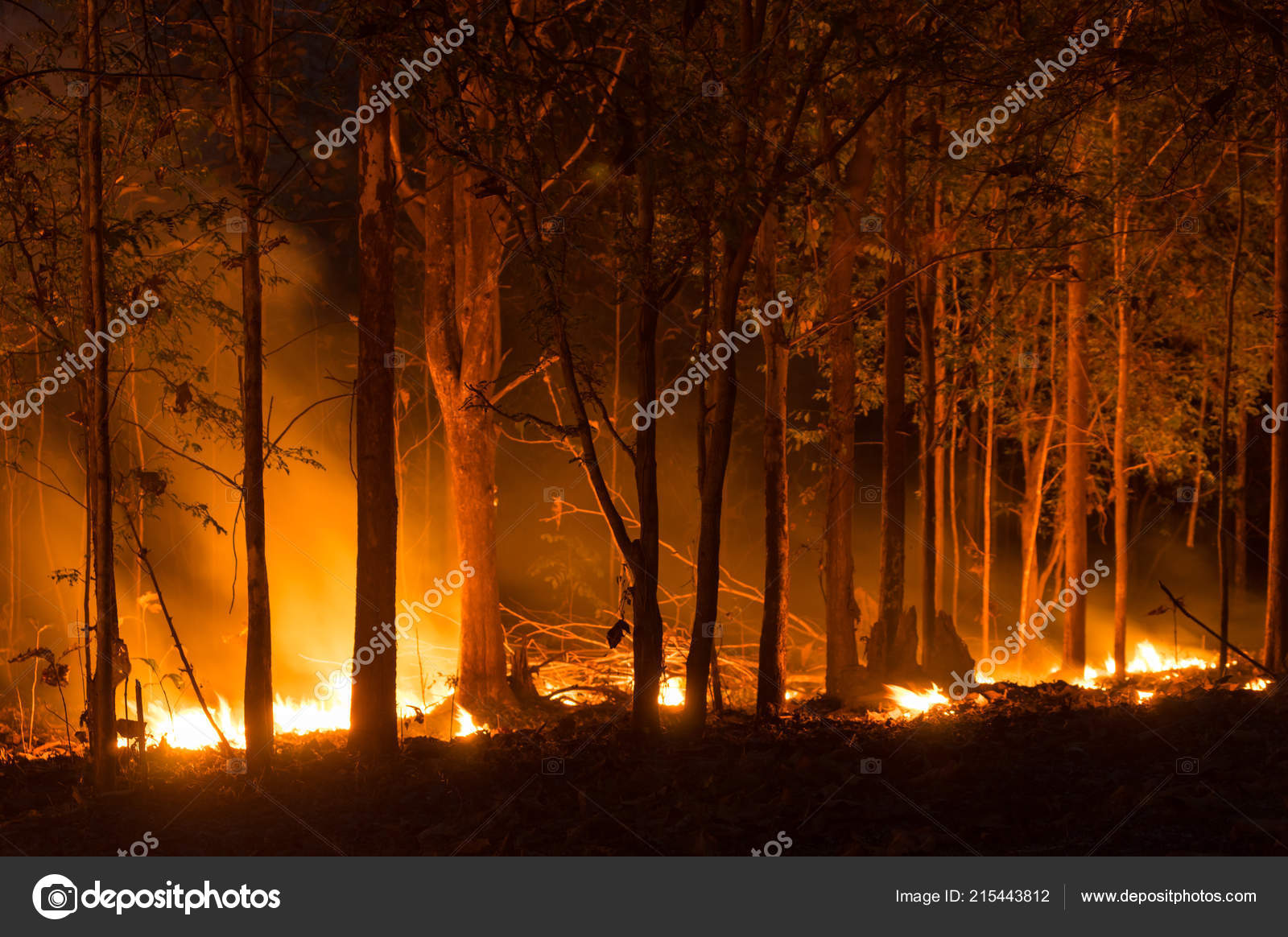 野火写真素材 ロイヤリティフリー野火画像 Depositphotos