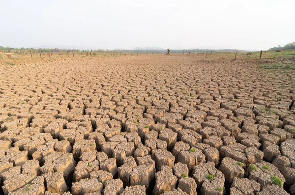 Opwarming Droogte Zomer Grond Droge Reservoir Van Mae Moh Lampang — Stockfoto