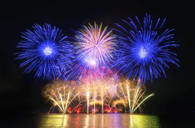 Kara gökyüzü arka planında renkli havai fişekler.