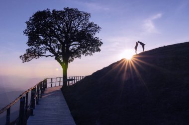 Çift tepe ve yalnız ağaç üzerinde silüeti. Güneş düşme ile arka plan ışık parlama üst kısmında DOI Pui Co, popüler turistik Mae Hong Son, Thailand.