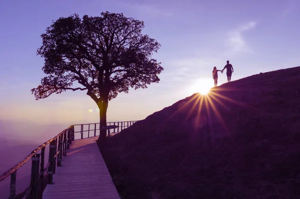 Silhouette Couple Hill Lonely Tree Sun Falling Lights Flare Top — Stock Photo, Image