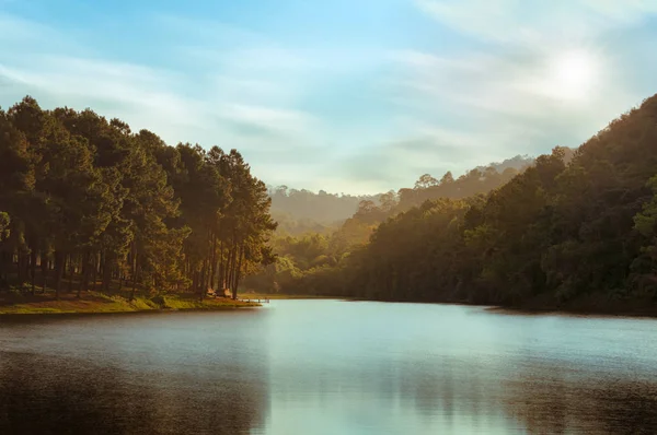 Camping Tents Pine Forest Sunset Pang Oung Pang Tong Reservoir — Stock Photo, Image