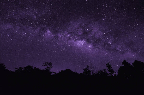 Ultra violet tone, Milky way galaxy with stars and space dust in the universe, long speed exposure, Tone purple trend.