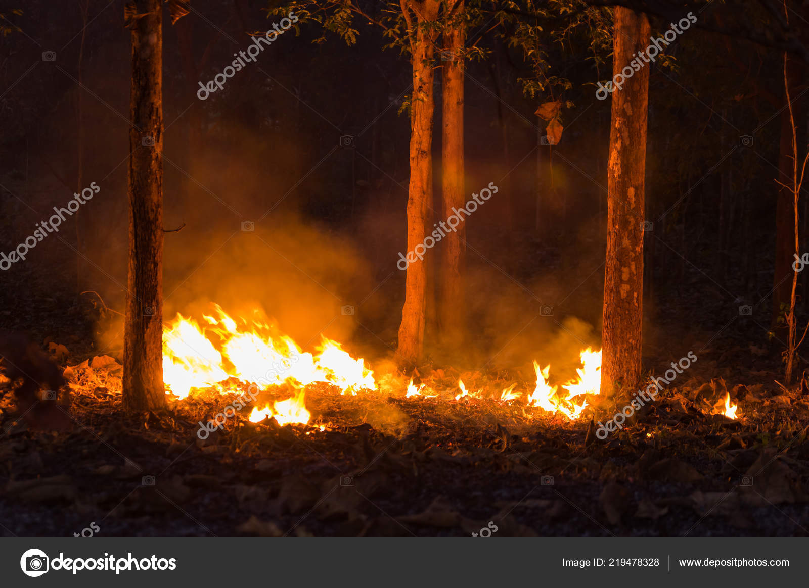 野火写真素材 ロイヤリティフリー野火画像 Depositphotos