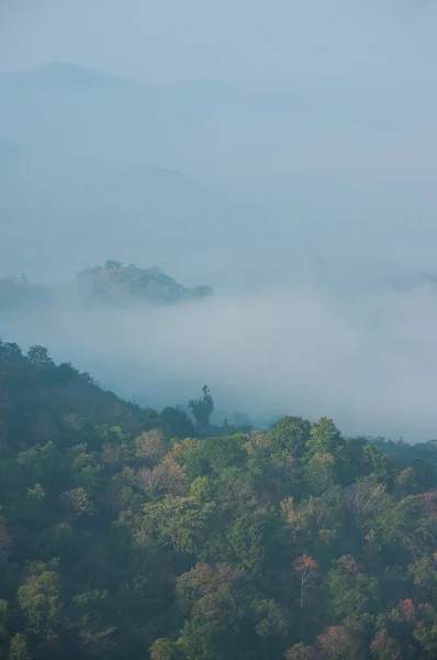 Beautiful Landscape Mountains Autumn Mist Morning Soft Focus — Stock Photo, Image