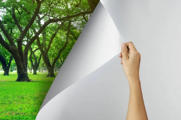 Change Concept Woman Hand Turning Blank Paper Page Tree Garden — Foto de Stock