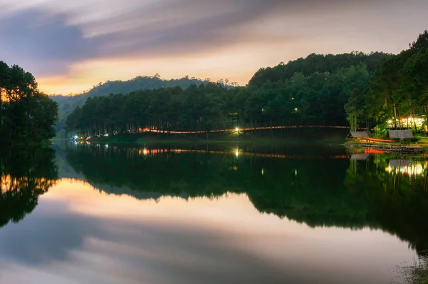 Camping Pine Forest Sunset Pang Oung Lake Reflection Pine Trees — Stock Photo, Image