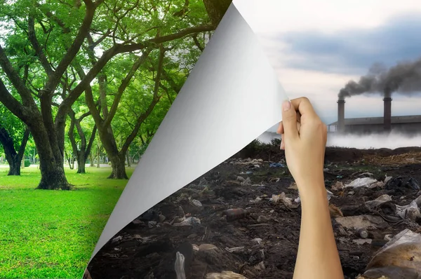 Change Concept Woman Hand Turning Pollution Page Tree Garden Environmental — Foto de Stock