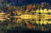 schöner Herbst mit Reflexionen von buntem Laub auf dem stillen See.