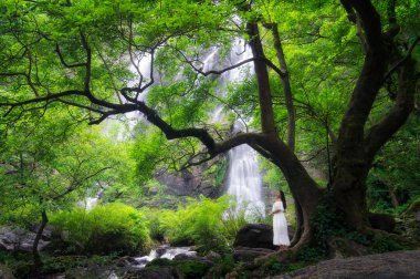 Şelale zemin, Khlong Lan şelale ile büyük ağacın altında ayakta beyaz elbise giyen kadın son büyük şelale Khlong Lan Milli Parkı, Kamphaeng Phet Tayland olduğunu.