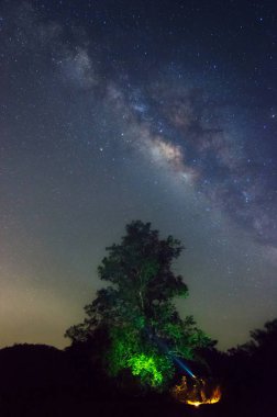 Samanyolu yıldız ve Uzay tozu evrende ve büyük ağaç ön plan ile gece gökyüzü Krachan Kaeng Milli Parkı yukarıda zodyak ışık ile. : Phetchaburi, Thailand. Uzun pozlama.