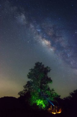 Milky way galaxy with stars and space dust in the universe and Zodiac light on night sky above Kaeng Krachan National Park with Big tree foreground. Phetchaburi, Thailand. Long exposure. clipart