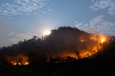 Orman Yangın, kırmızı ve turuncu renk ağacında geceleri dağda, Kuzey Tayland, ormandaki yumuşak odak yanan orman yangını.