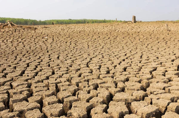 Глобальне Потепління Посухи Влітку Землі Сухих Водосховище Mae Моз Таїланді — стокове фото