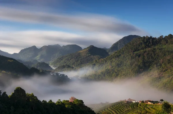 Beautiful Mountain Landscape Morning Mist Tea Farm Ang Khang Chiang — Stock Photo, Image