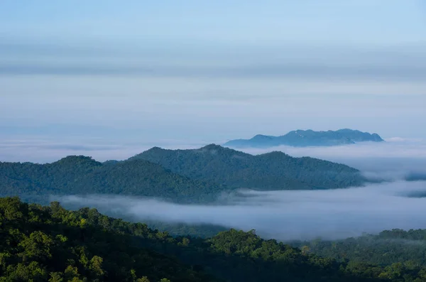 Beautiful Landscape Morning Fog Mountain Mae Moh Lampang Most Amazing — Stock Photo, Image