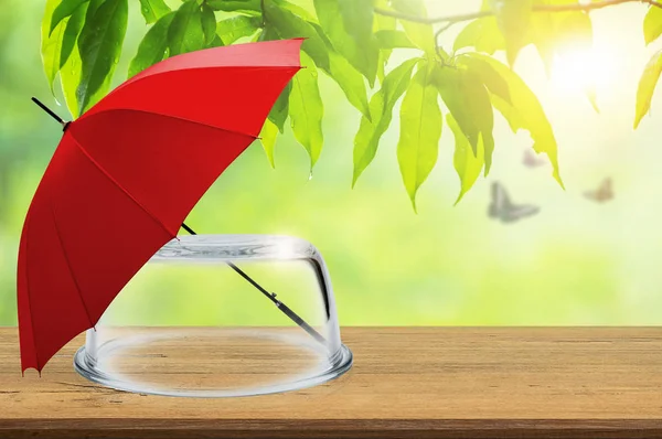 Protection Insurance Empty Transparent Glass Dome Red Umbrella Wooden Floor — Stock Photo, Image