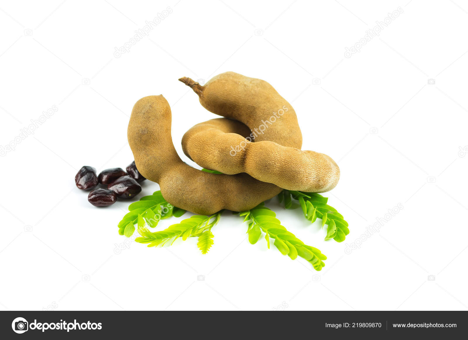 Fotos De Fruta De Tamarindo Imagenes De Fruta De Tamarindo Descargar Depositphotos Fotos De Fruta De Tamarindo Imagenes De Fruta De Tamarindo Descargar Depositphotos