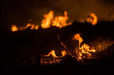 Orman yangını, ağaç kırmızı ve turuncu renkte gece ormanda geceleri, Kuzey Tayland yanan orman yangını.
