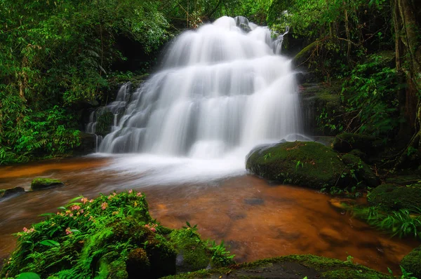 Man Daeng Waterfall Autumn Beautiful Nature — Stock Photo, Image
