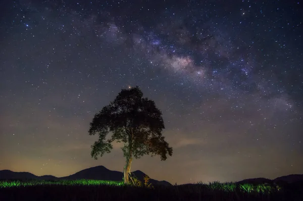 Milky Way Galaxy Stars Space Dust Universe Zodiac Light Night — Stock Photo, Image