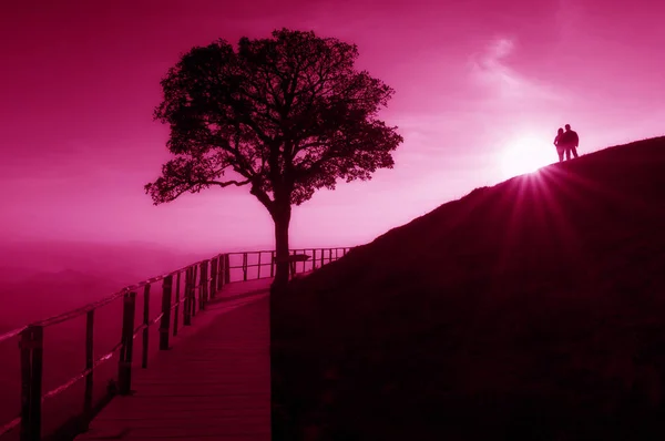 Sylwetka Para Wzgórzu Samotne Drzewo Słońce Spada Dół Tyłu Światła — Zdjęcie stockowe