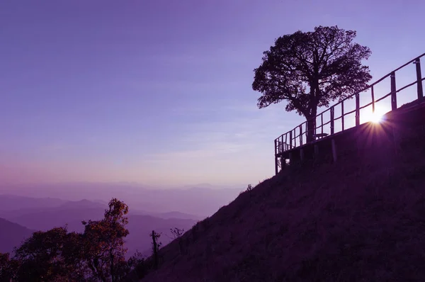 Silhueta Árvore Solitária Paisagem Cênica Altas Montanhas Noite Ponto Vista — Fotografia de Stock