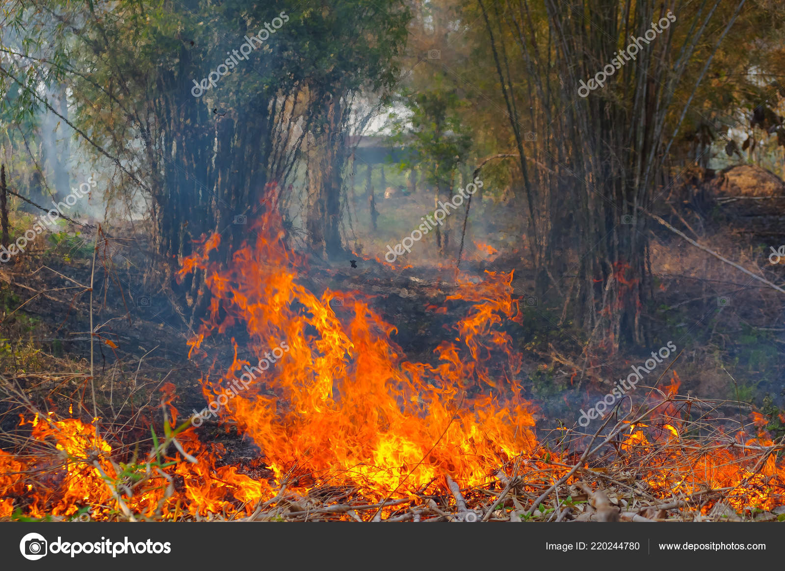 野火写真素材 ロイヤリティフリー野火画像 Depositphotos