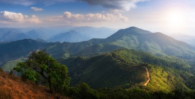 Yalnız ağaç üzerinde tutulur, en iyi bakış açısı dağ DOI Pui Cu, Mae Hong Son, Thailand popüler turistik cazibe ile akşam yüksek dağlarda doğal peyzaj.