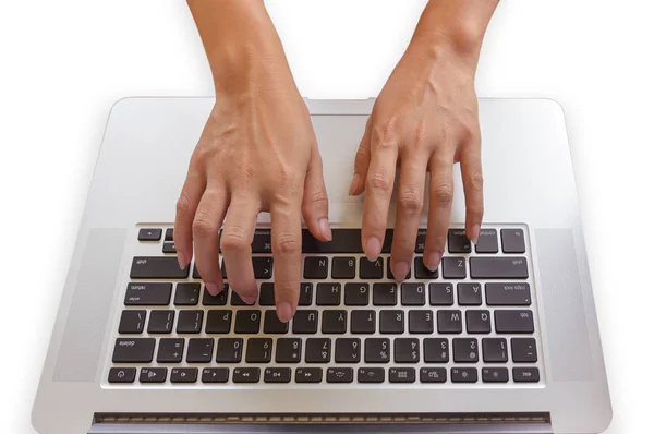 Freelance hands on the keyboard laptop isolated on white, girl using laptop typing, web searching