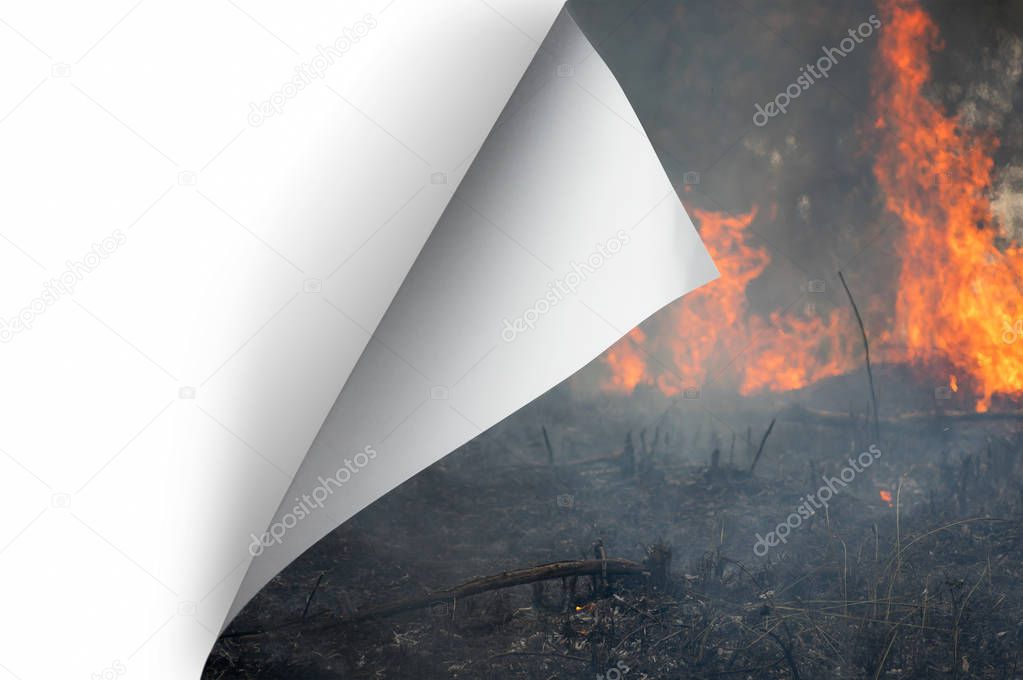 Change concept, Turning pollution wild fire page to blank paper with clipping path, changing reality, hope inspiration,environmental protection, change weather, environmental campaign.