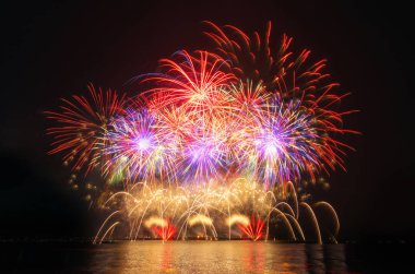 Kara gökyüzü arka planında renkli havai fişekler.