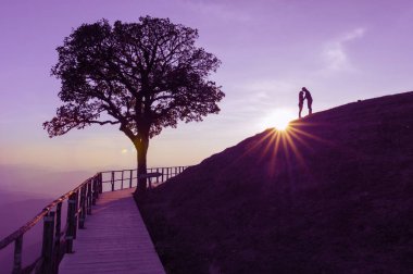Çift tepe ve yalnız ağaç üzerinde silüeti. Güneş düşme ile arka plan ışık parlama üst kısmında DOI Pui Co, popüler turistik Mae Hong Son, Thailand.