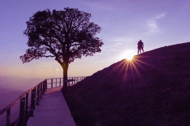 Çift tepe ve yalnız ağaç üzerinde silüeti. Güneş düşme ile arka plan ışık parlama üst kısmında DOI Pui Co, popüler turistik Mae Hong Son, Thailand.