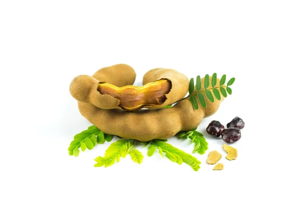 Fresh Sweet Tamarind Isolated White Background Leaves Seeds Bark Tamarind — Stock Photo, Image