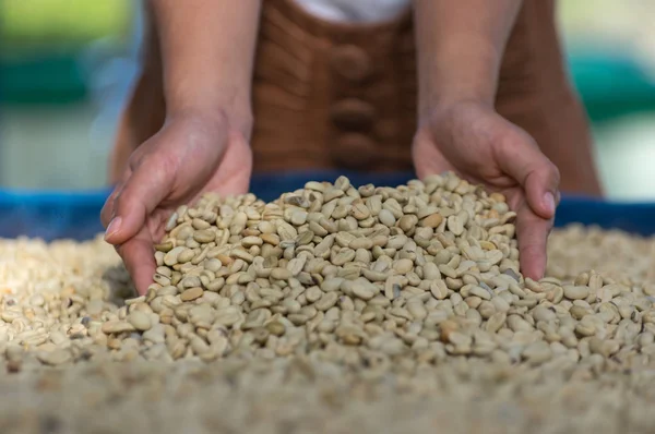 Mujer Pie Cerca Una Pila Granos Café Pelados Listos Para — Foto de Stock