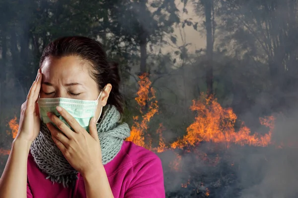 Asian Woman Wearing Mask Prevent Air Pollution Wildfire Burning Trees — Zdjęcie stockowe