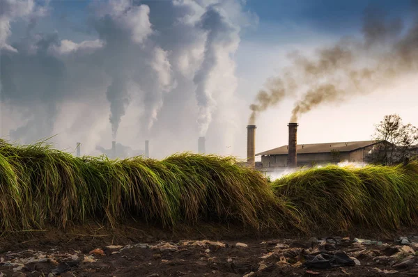 Industriezweige Die Rauch Ausstoßen Sind Luftverschmutzung Und Abfallverschmutzung — Stockfoto