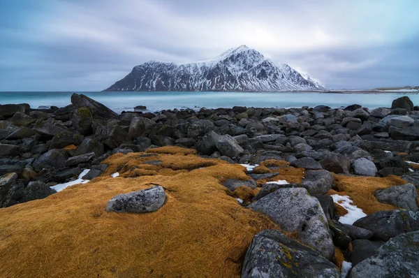 美丽的斯卡格桑登海滩景观风景秀丽的罗弗敦群岛冬季风景 斯堪的纳维亚 — 图库照片