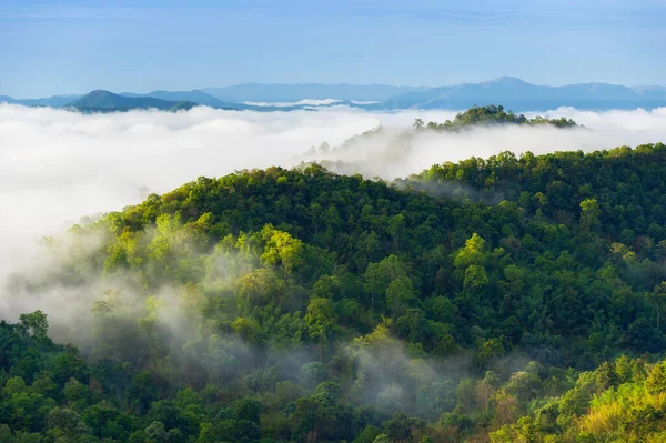 Hermosa Niebla Sobre Bosque Verde Montaña Vista Aérea Amanecer Sobre — Foto de Stock