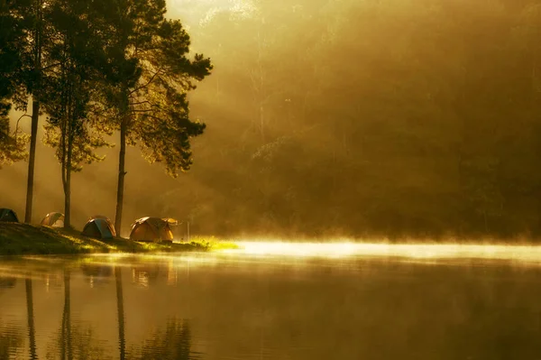 Camping Tent Pine Forest Sunset Pang Oung Pang Tong Reservoir — Stock Photo, Image