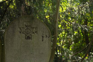 Mezarlıktaki eski mezarlar, Abney Park, Londra, İngiltere