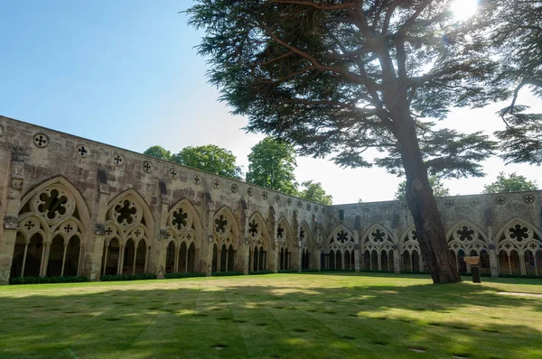 Kutsanmış Meryem Ana Katedrali Kilisesi'nin manastır bahçesinin görünümü, Salisbury, Wiltshire, İngiltere, İngiltere