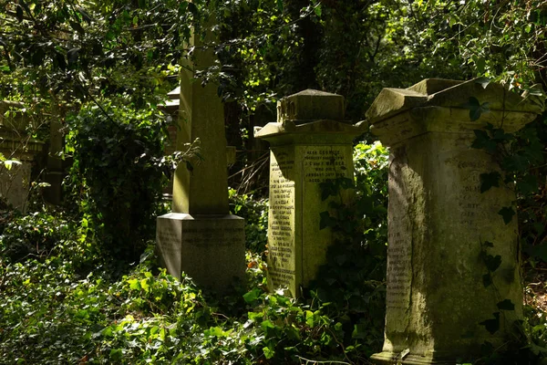 Старые Могилы Кладбище Abney Park Лондон Великобритания — стоковое фото