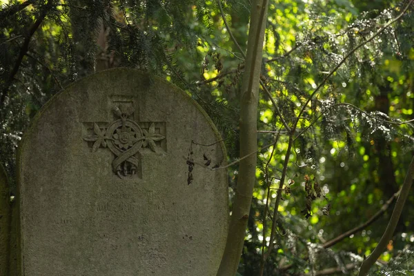 Старые Могилы Кладбище Abney Park Лондон Великобритания — стоковое фото