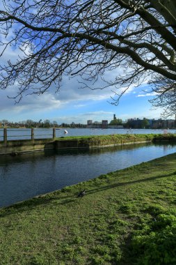 Woodberry rezervuarı, Stoke Newington, Londra 